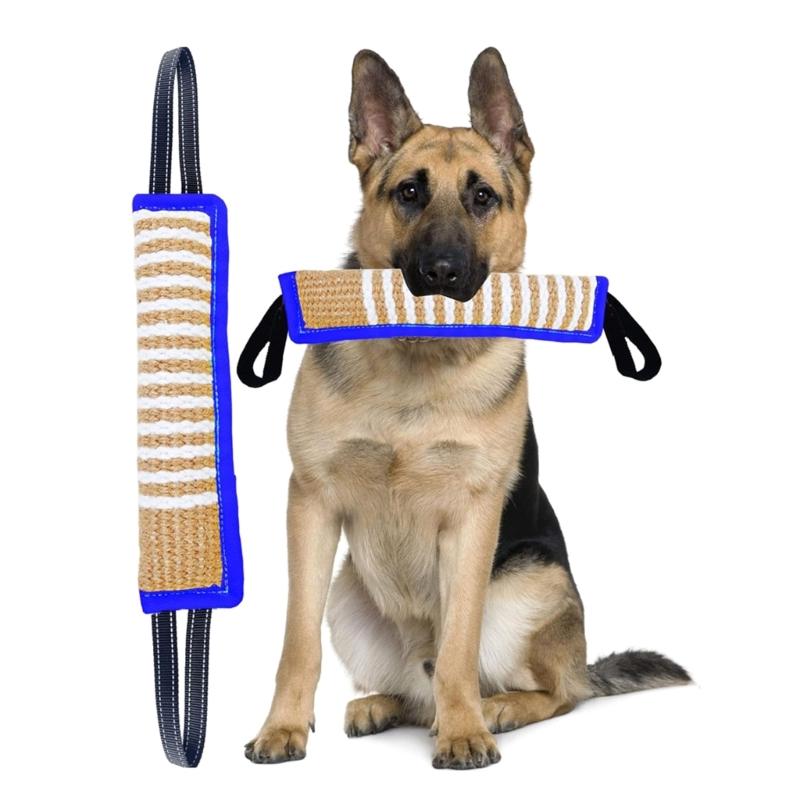 Dog Molar Toy with 2 Handles Tossing Teething Game Toy Reflective Pillow