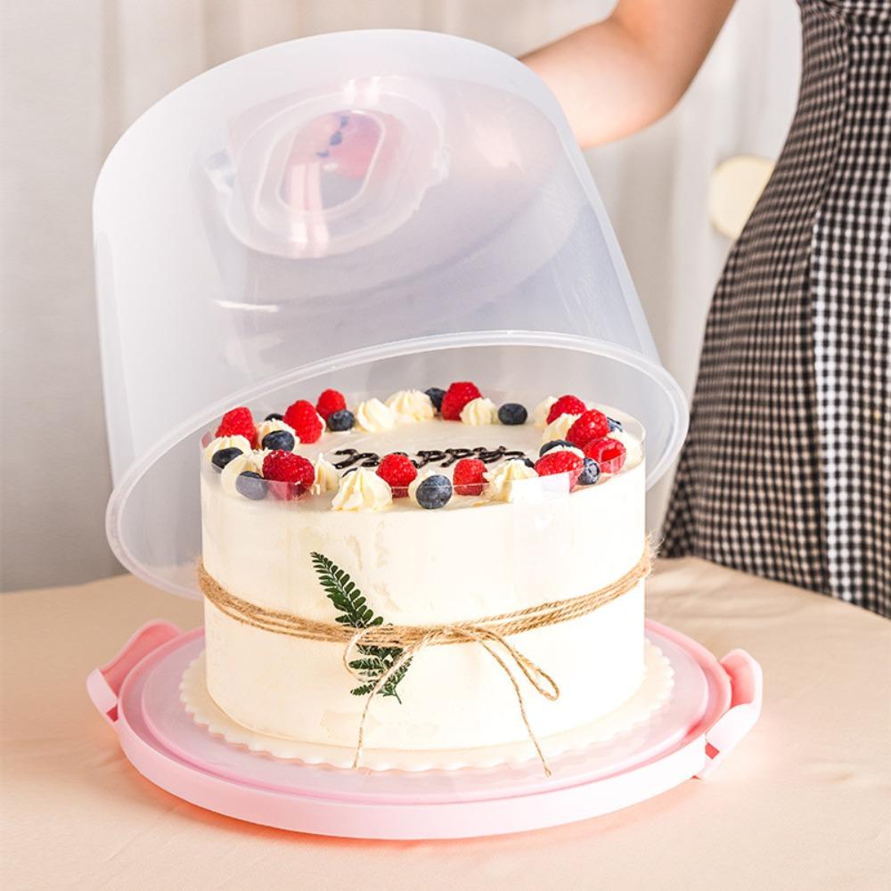 Round Cake Container 8/10 Inch Cake Case Food Storage Tray Plastic Cake Box Homemade Cake
