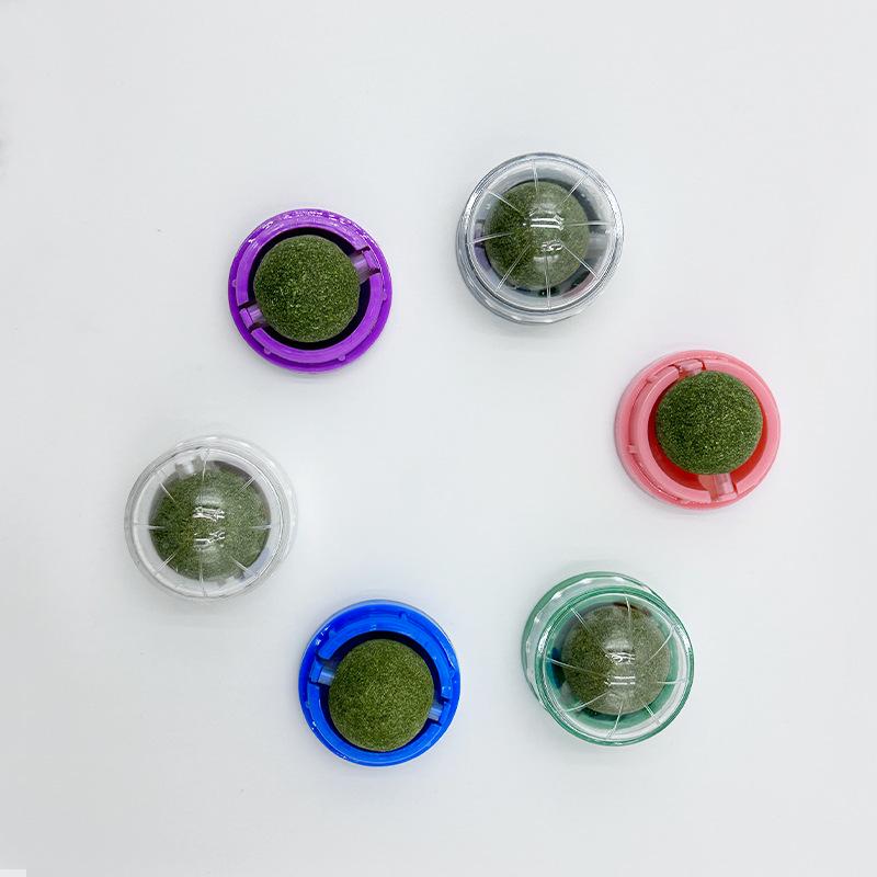 Catnip Ball & Matatabi Stick Toy – Kitten Dental Teaser & Boredom Relief Playset