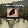Tale of Lakewood Jenny by Jackie Caswell Hardback Book 9780578704739