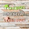 Graduation Metal Cutting Dies Scrapbooking Card Embossing DIY Photo Template