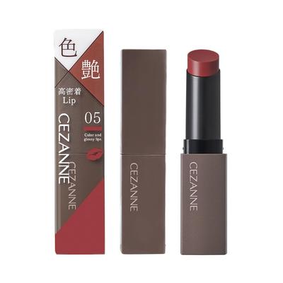 Lip Color Shield 05 Rosa Antico 3,7g - Rossetto Gel Vibrante a Lunga Durata