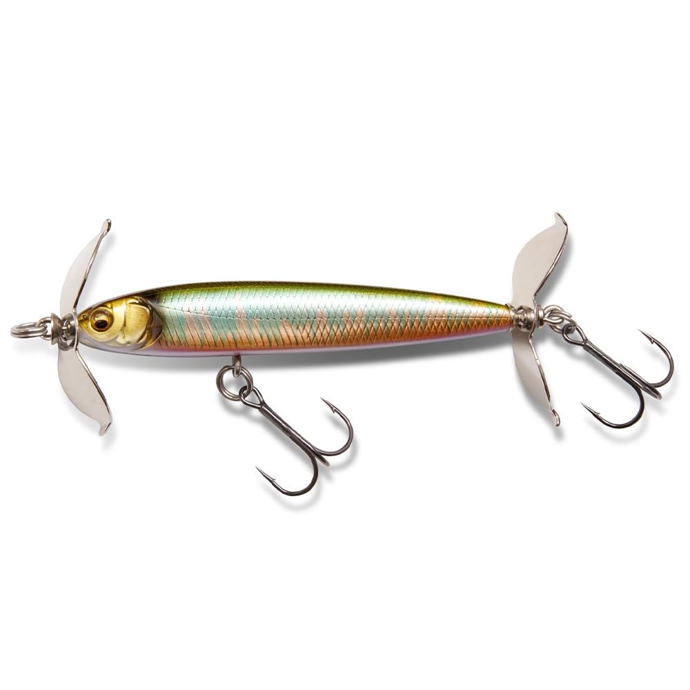 

LEVEL SWIMMER Japanese Silver Oikawa (SP-C)