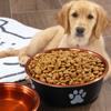 Cat Paw Dog Stainless Steel Food Bowl Large Capacity Pet Water Bowls  For Cats Puppy