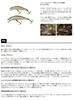 SMITH LTD Minnow 45mm Lime Chart Yamame Lure D-Compact 3.5g #14