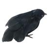 Halloween Black Crow Decoration Realistic Feathered Crow Prop Artificial Fake Raven Birds for Yard Tree Garden Patio Indoor Outdoor