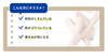 White Conc Body Shampoo Sakura Scent Capacity Pump Reduces Sakura C 600mL, (Large Type, Exfoliating, Dullness, Scent) [Quasi-drug]