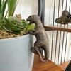 Decorated dinosaur statues, plant hangers decorated dinosaurs, cute animals, potted plants, buddies, dinosaurs, decorative hange