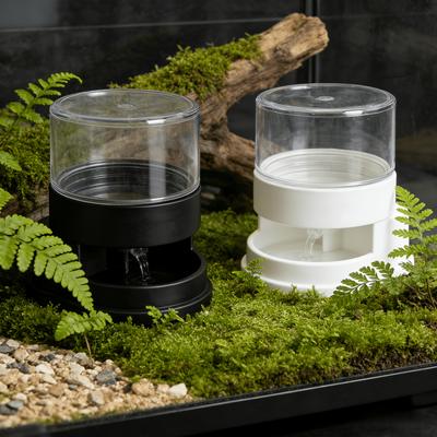 Sürüngen – Sürüngen Terraryumları