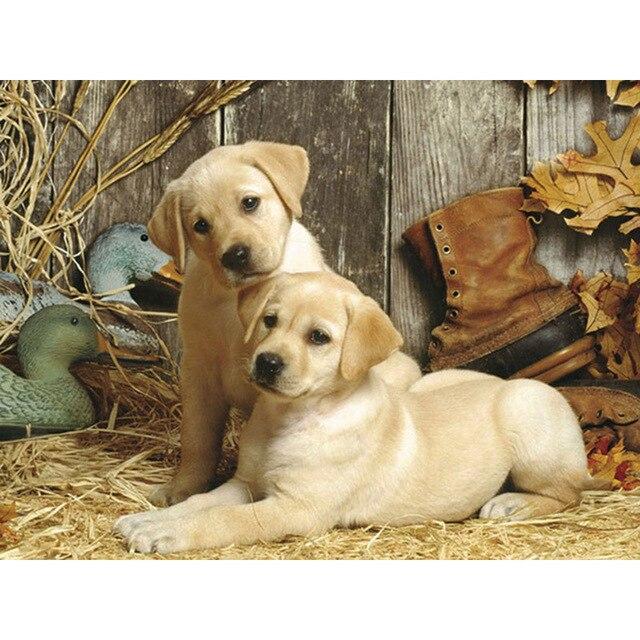 5D DIY Diamant Stickerei Hund Kreuzstich Kit Voll Platz/Runde Diamant Malerei Tier Mosaik Strass Bilder Hause decor