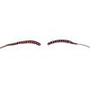 LED False Eyelashes Light Lightweight Stylish Reliable Luminous False Eyelashes Light for Party