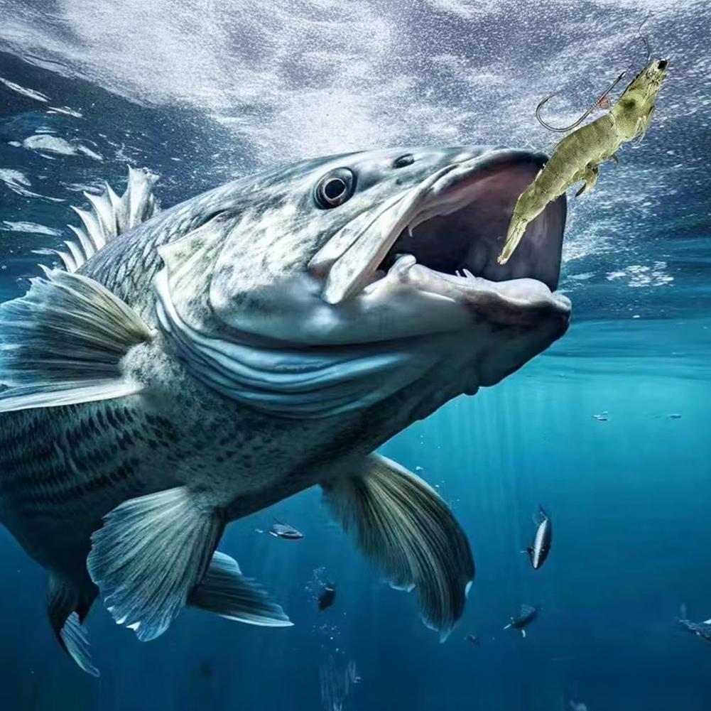 10 STÜCKE/Box Lebende Garnelen Federhaken Lebende Garnelen Fixierter Kohlenstoffstahlhaken mit Widerhaken Gerade Öse Meeresangelhaken