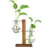 Glass Hydroponic Plant Container Decoration Tabletop Glass Planter  For Hydroponics Plants