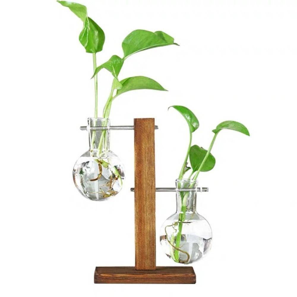Glass Hydroponic Plant Container Decoration Tabletop Glass Planter  For Hydroponics Plants