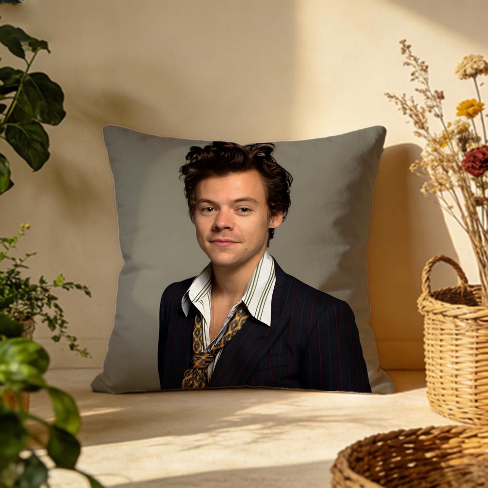 Fashion Hharry Stylesing Cushion Cover Versatile DoubleSided Pillow Case Fit for Sofa Bed Car Daily Decor