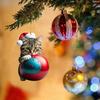 New Christmas Cute Kitten Pendant Christmas Tree Cat Hanging Oranment New Year 2024 Gift Xmas Decoration For Home Decor