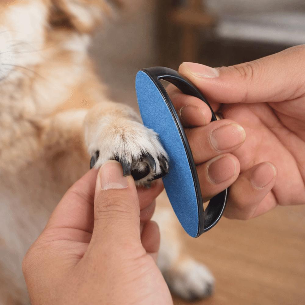 Replaceable Sandpaper Dog Nail File Board Portable Efficient Pet Scratch Pad Wear Resistant Puppy Nail File