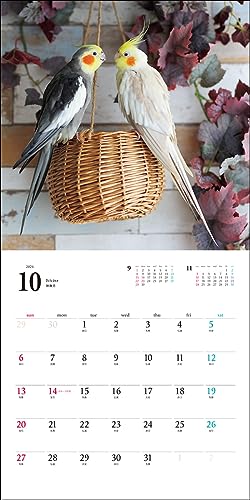 2024 Calendar Cockatiel (Seibundo Shinkosha Calendar)