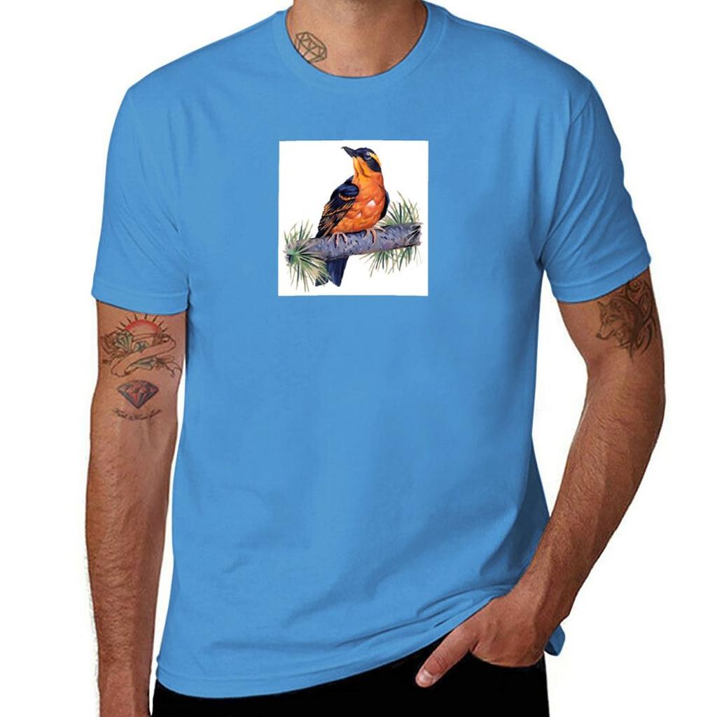 Birds In Hell TShirt Short sleeve tee aesthetic clothes mens graphic tshirts anime