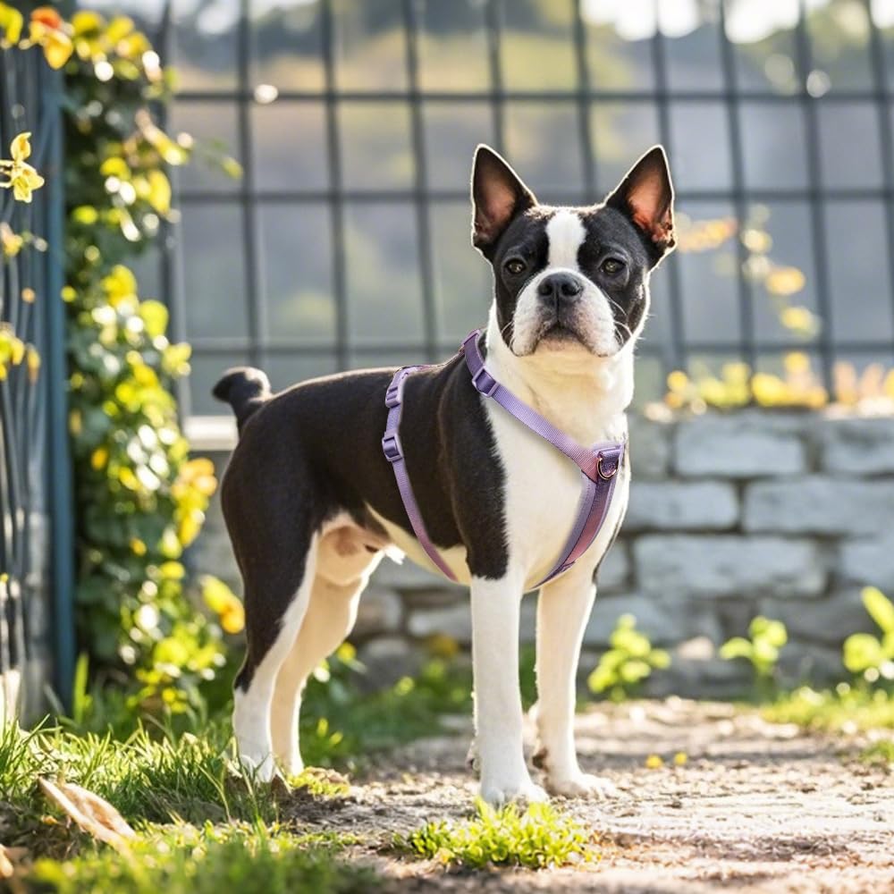 TSPRO Dog Reinforced Breathable Size Suitable for Small and Medium Pet for Walks and Training Size Harness, Anti-Pull, Lightweight, Material,