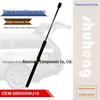 689500WJ10 and 689600WJ10 Rear Hydraulic Rods for Toyota C-HR (JPP)