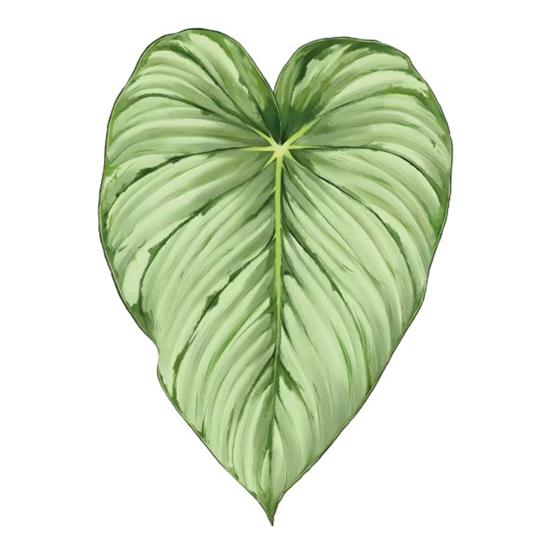 Acrylic Tropical Plant Coasters, Heat Resistant Non-Slip Drink Coasters, Easy Clean Leaf Shaped Pads for Coffee Table Desk Decor, Home Gift