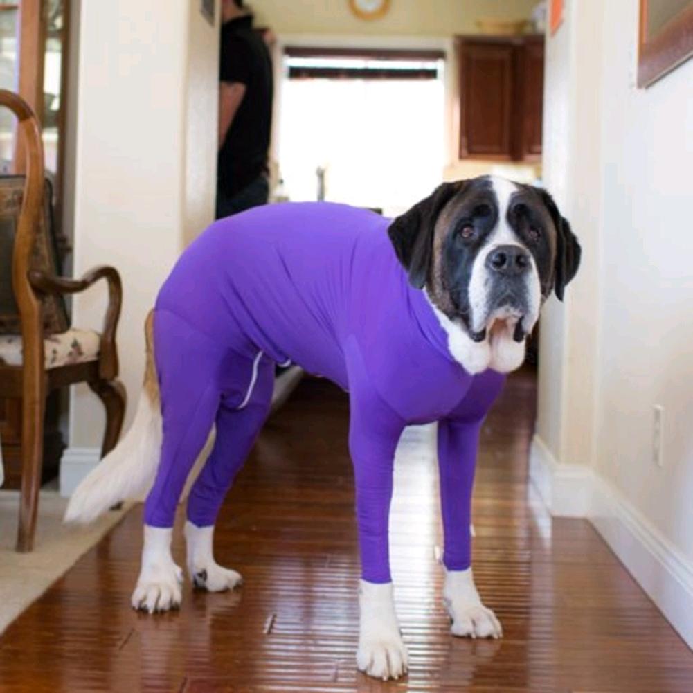 fleece dog bodysuit
