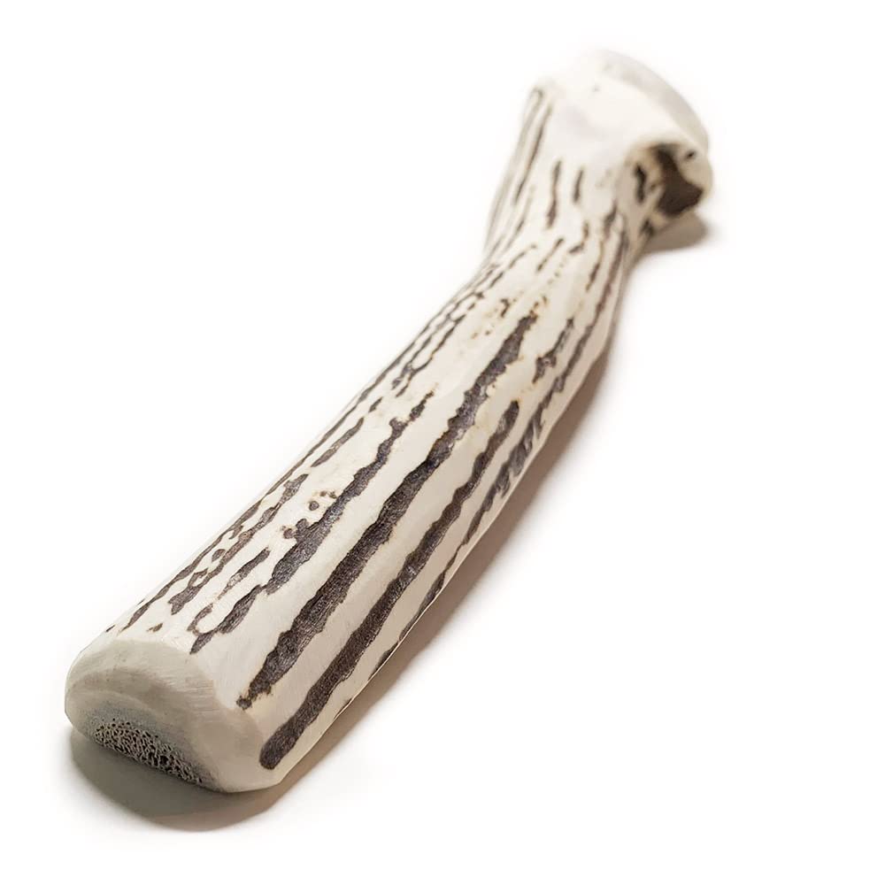 Shikakusan Deer Antler Dog Toy for Extra Large 1 Hokkaido Ezo Dental Extra Large Split Dogs, Half-Split, Piece, Deer, Natural, Additive-Free,