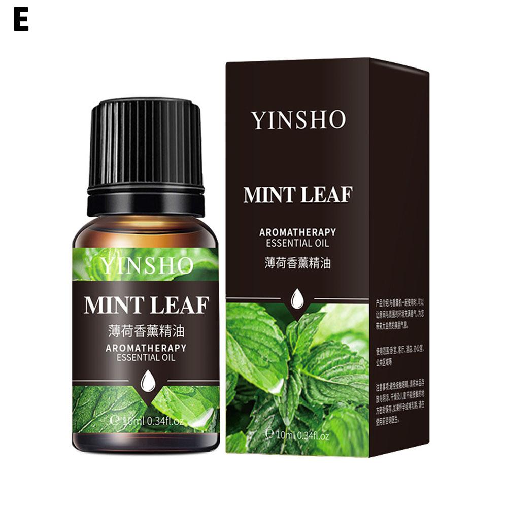 2025 NEU 10ml Ätherische Öle für Aroma Diffuser Luftbefeuchter Zuhause Wasserlöslich Lavendel Auto Lufterfrischer Parfüm Nachfüllung