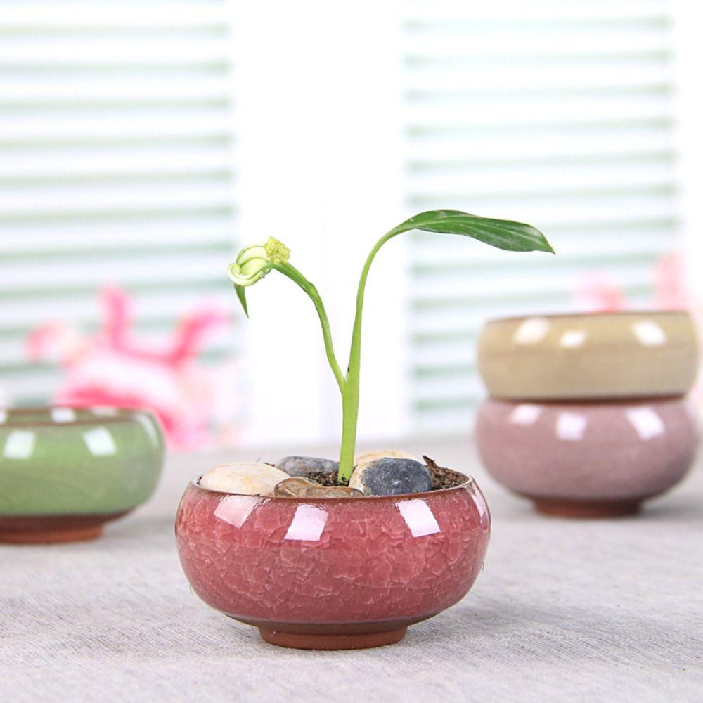 Cute Ice-Crack Glaze Ceramic Flowerpots Breathable Plants Planter Succulent Flowerpot  Indoor