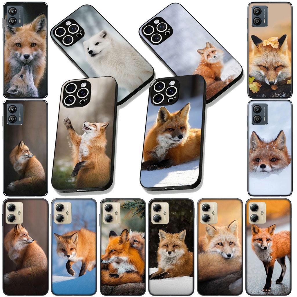 Soft Cover for Samsung Galaxy S25 S24 S23 FE Plus Ultra S7 Edge A16 A15 5G s25+ Coque Phone Case Fox Wild