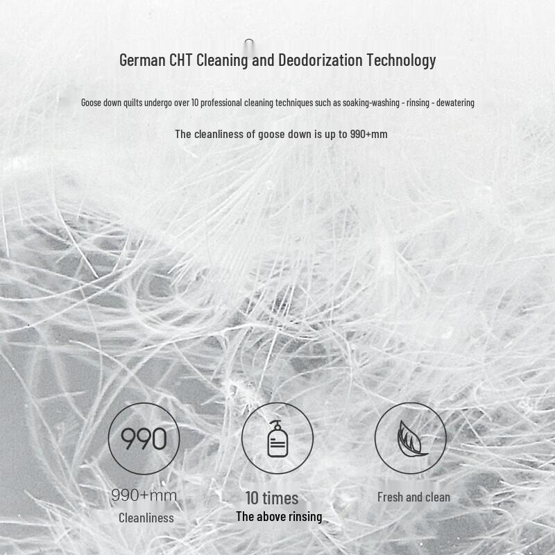 8H Y1 95% White Goose Down Winter Comforter