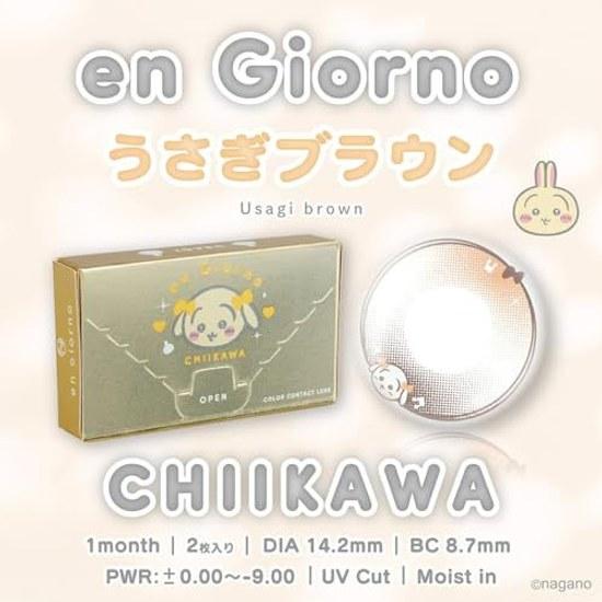 Anjoruno Chiikawa Design Color Lenses (Usagi Brown) PWR 0.00 (no prescription) 1month Prescription Shobido Kaseido