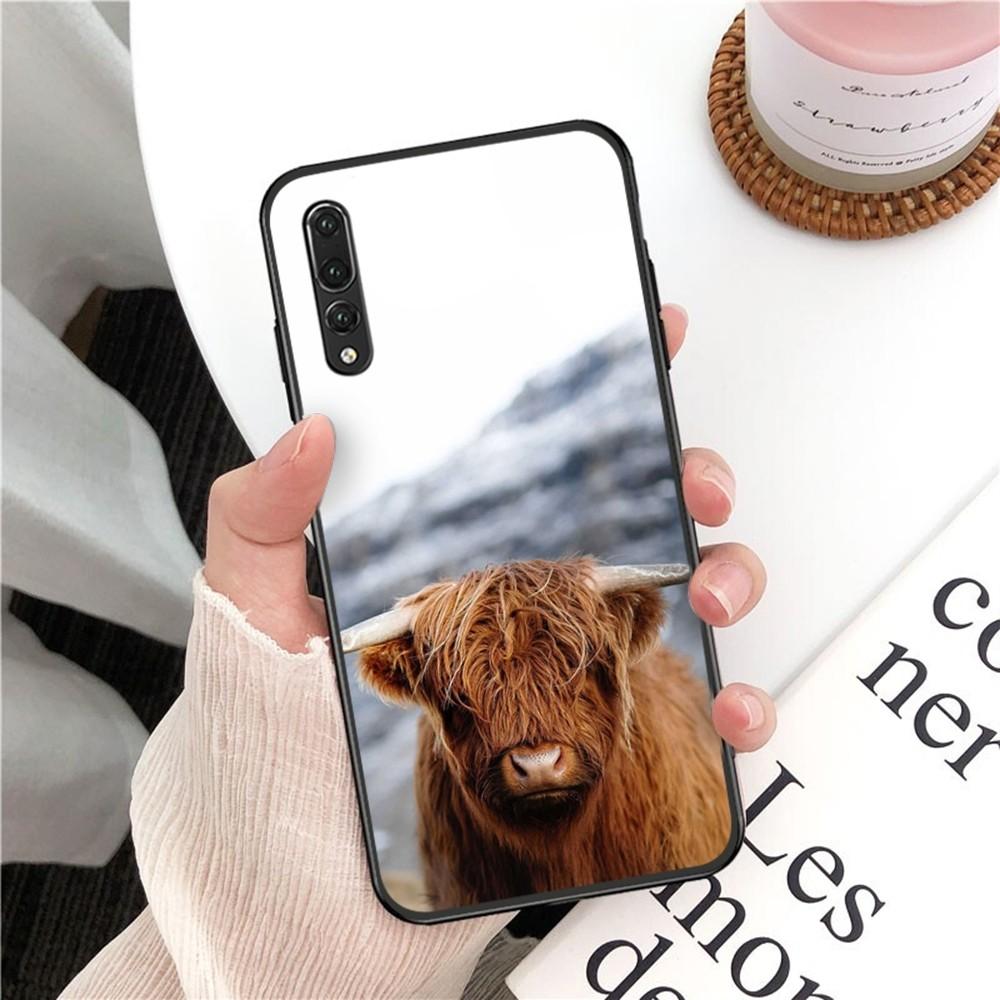 Süße Hochlandkuh Handyhülle Für Huawei P 8 9 10 20 30 40 50 Pro Lite Psmart Honor 10 Lite 70 Mate 20lite