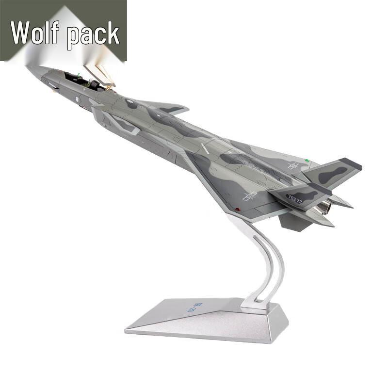 J-20 Fighter Jet Model