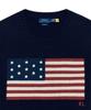 POLO RALPH LAUREN Big Fit Flag Sweater Vest - Blue