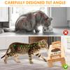 Tilted Cat Bowl Set Bamboo Double Handles Elevated Cat Bowls with 3 Stainless Steel Bowl Healthy Pet Water Dispenser for Cat Dog