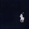 Polo Ralph Lauren Small Pony Logo Embroidered Short Sleeve Polo Shirt Men tops 710759313-003