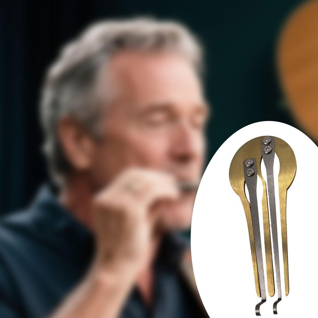 Scacciapensieri Strumento Musicale per Bocca Portatile Tradizionale Folk Scacciapensieri Facile da Imparare Ance in Metallo Ottone per Musica Etnica