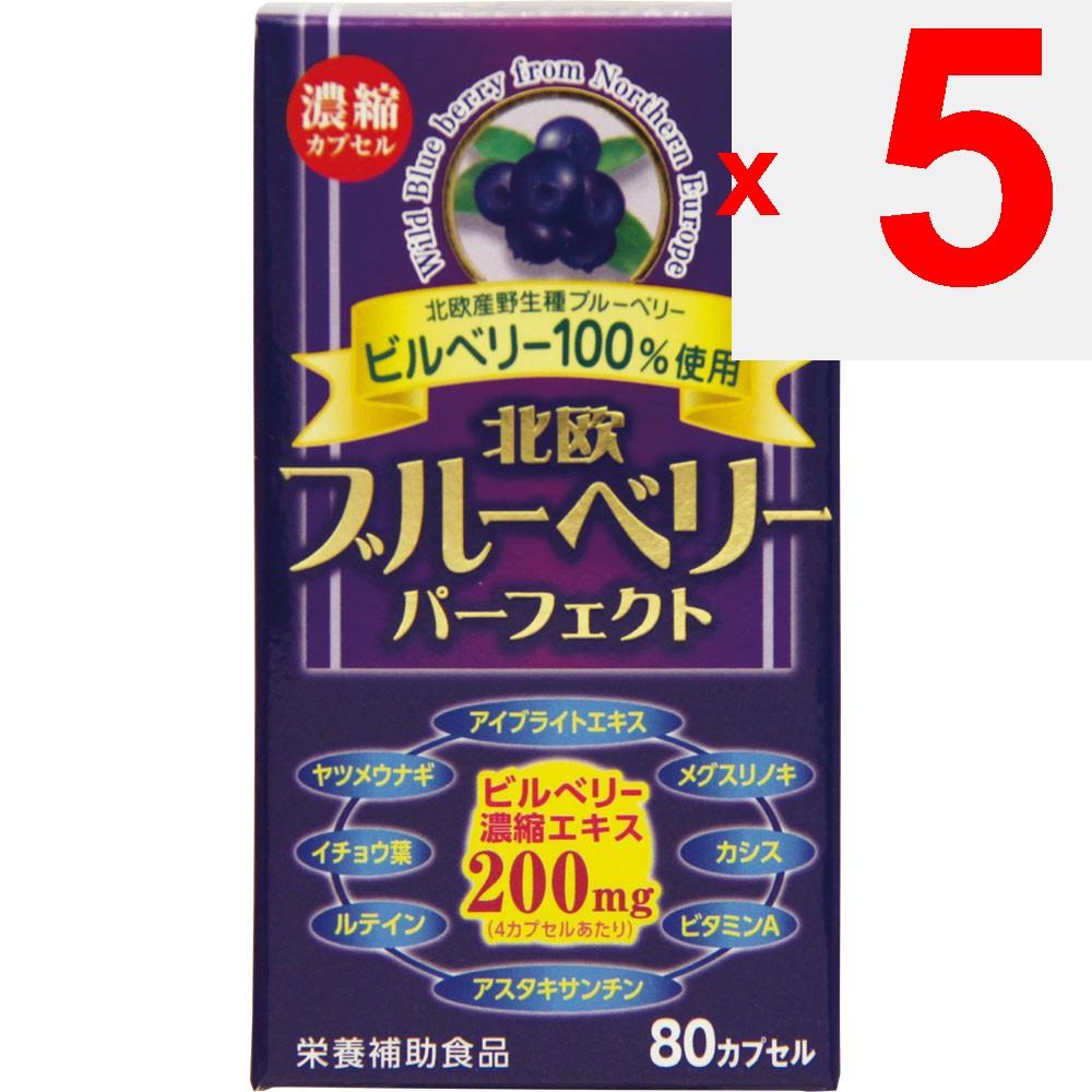 Wellness Japan Nordic Blueberry Perfect 80 Capsules Eye Strain Blueberry