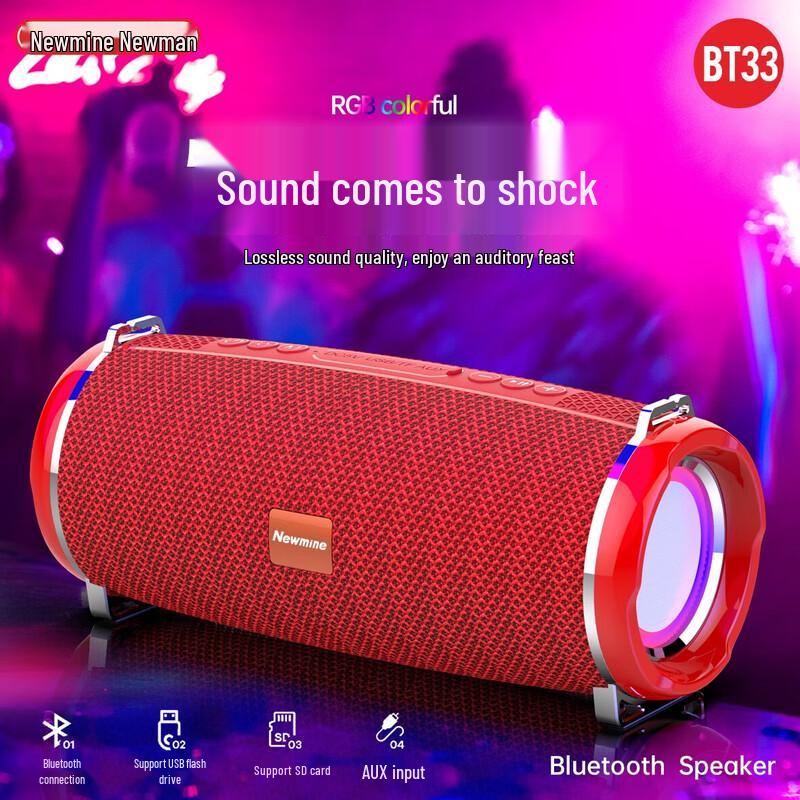 Newman BT33 Portable Bluetooth Subwoofer Speaker