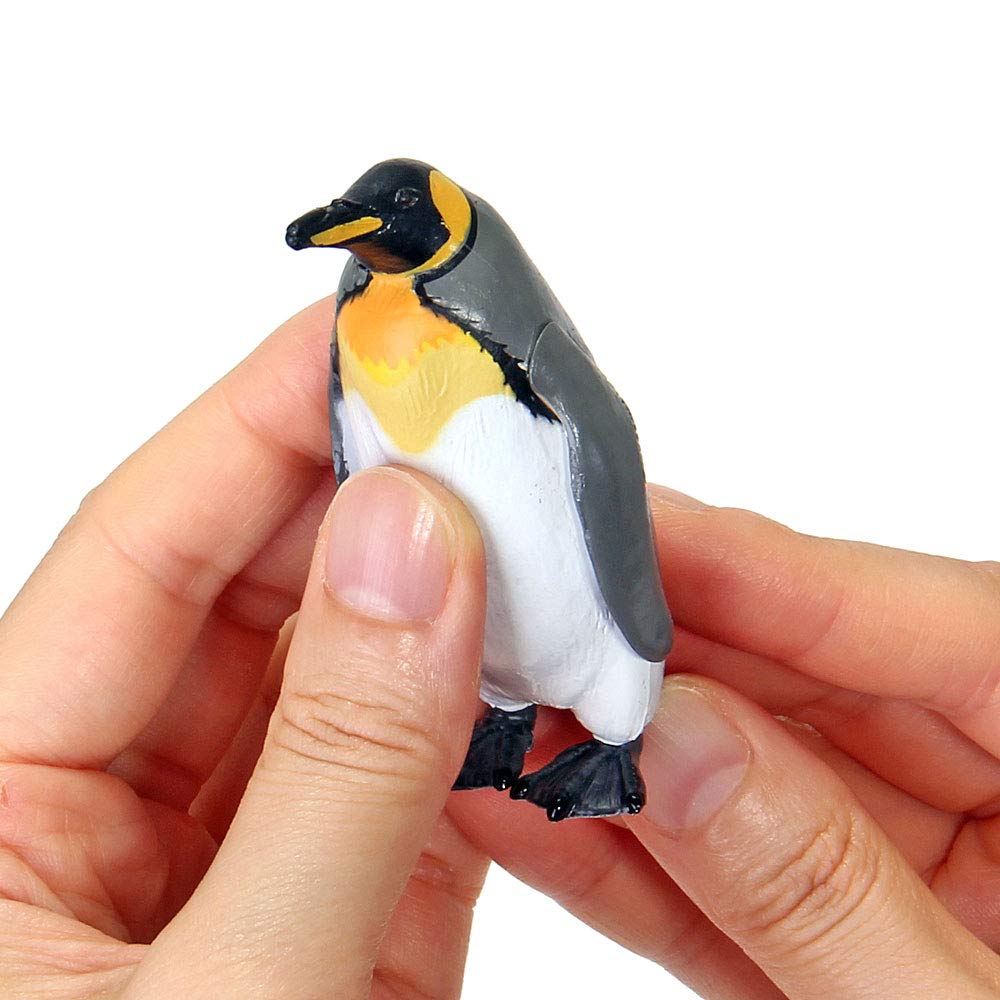 COLORATA Penguin 3D Picture Book 13 Pieces Explanation Real Figure Birthday Present Gift Sanitation Law Figure Penguin Christmas Present (12 Types, /