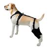 Pet Protector Dog Hindleg Double Protector Thigh Protector Postoperative Auxiliary Leg Cover Adjustable Metal Support