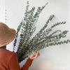 Wabi-sabi Dried Flower Arrangement: Reed, Pine Cones, Cotton, Wheat, Poppy Bouquet
