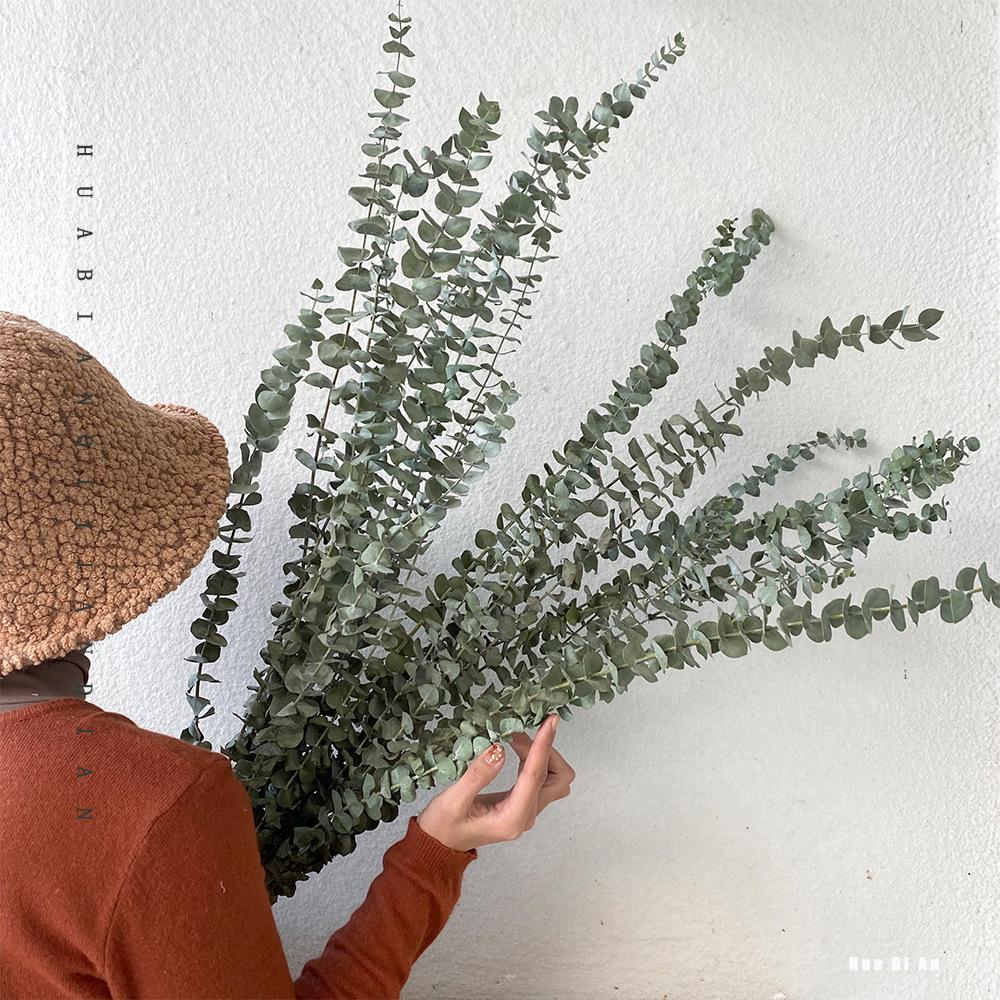 Wabi-sabi Dried Flower Arrangement: Reed, Pine Cones, Cotton, Wheat, Poppy Bouquet