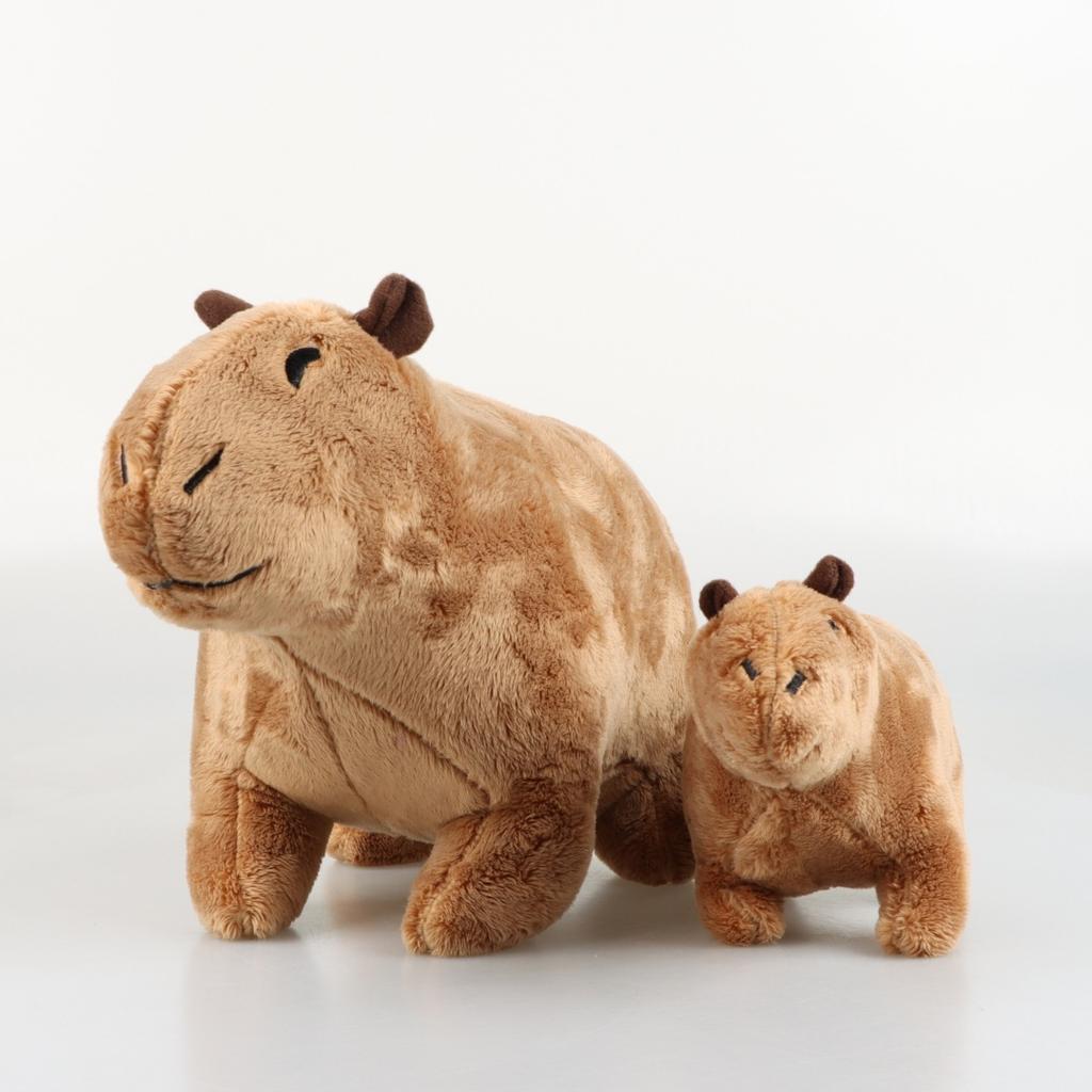 Kapybara Hlodavec Voda Delfín Myš Hydrochoerus Hydroch Plyšová Panenka Ošetření