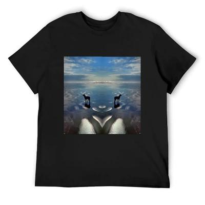 T-shirtler – Tişörtler