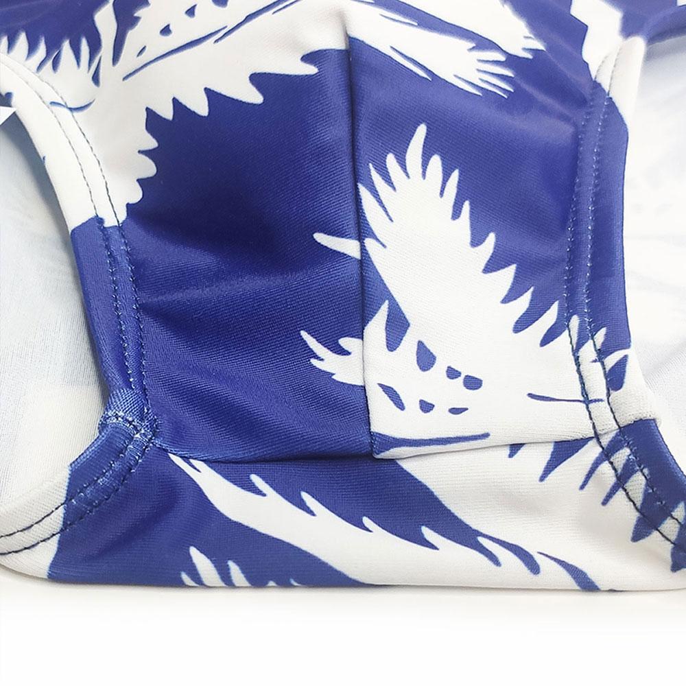 Men's  Fashion Strips Sexy Men's Brief Sexy Printed Swimsuit for Men Surfing Swimwear Low-Rise