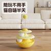 Cat Turntable Tumbler Interactive Educational Pet Toy For Kitten
