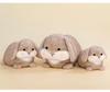 Adorable Long-Eared Dundun Rabbit Plush Toy - Chubby, Healing Doll for Kids